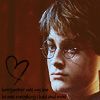 harrypotter19.jpg