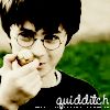 harrypotter29.png