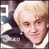 draco05.png