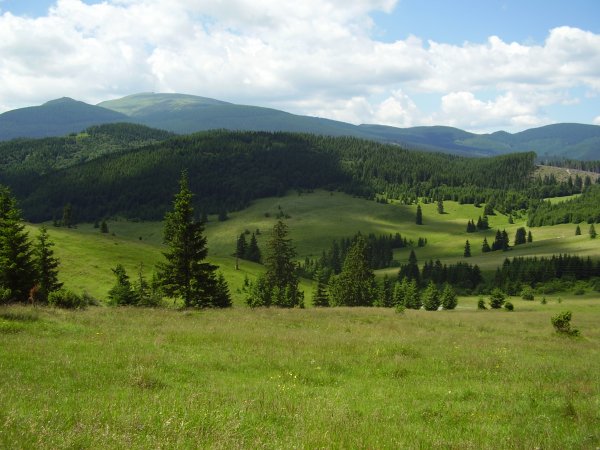 Kliknite pre zobrazenie veľkého obrázka