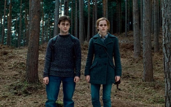 Kliknite pre zobrazenie veľkého obrázka