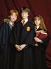 Ron,Harry,Hermiona2.jpg