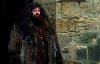 hp1_Hagrid.jpg