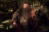 hp5_Hagrid.jpg