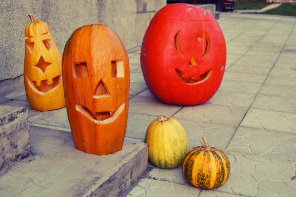 Kliknite pre zobrazenie veľkého obrázka