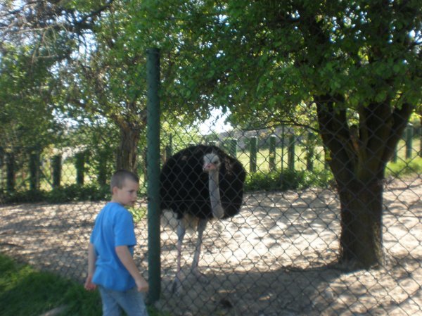 Kliknite pre zobrazenie veľkého obrázka