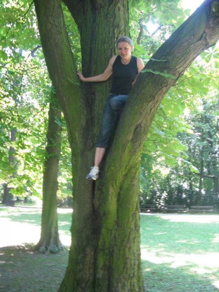 Kliknite pre zobrazenie veľkého obrázka
