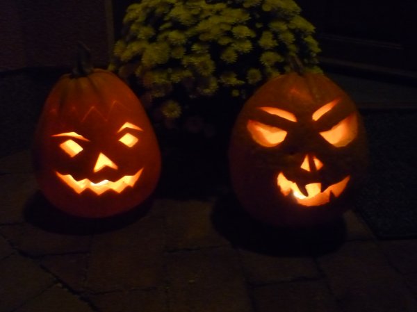 Kliknite pre zobrazenie veľkého obrázka