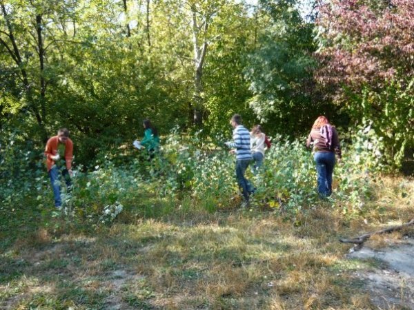Kliknite pre zobrazenie veľkého obrázka