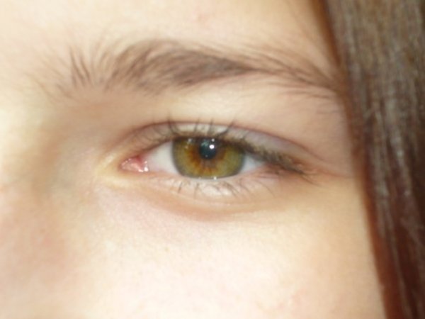 Kliknite pre zobrazenie veľkého obrázka