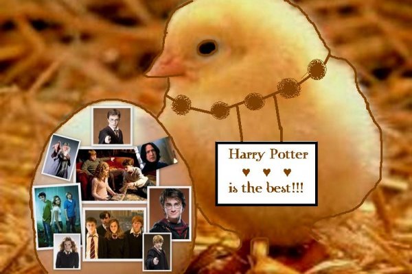 Kliknite pre zobrazenie veľkého obrázka