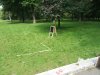 DSCF6593.JPG
