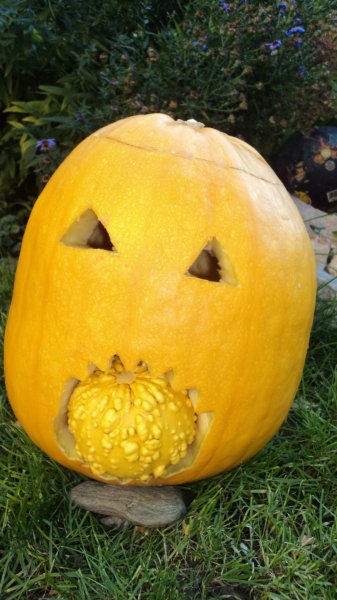 Kliknite pre zobrazenie veľkého obrázka