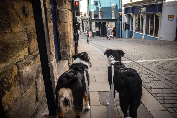 Kliknite pre zobrazenie veľkého obrázka