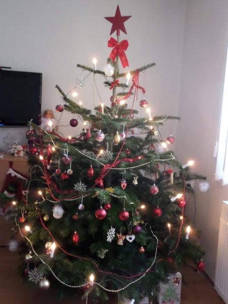 Kliknite pre zobrazenie veľkého obrázka